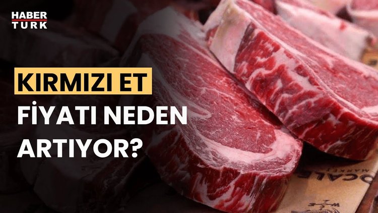 Hayvan mı yok, manipülasyon mu var? Bülent Tunç yanıtladı