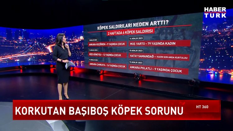 HT 360 - 15 Aralık 2023 (Batı köpek sorununu nasıl aştı?)