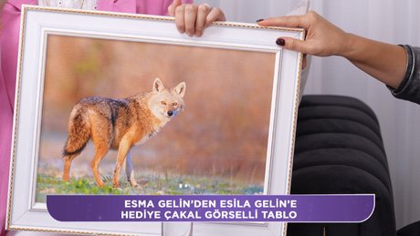 Video poster resmi