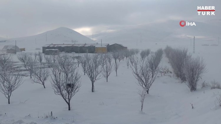 Van'da ağaçlar kırağı tuttu