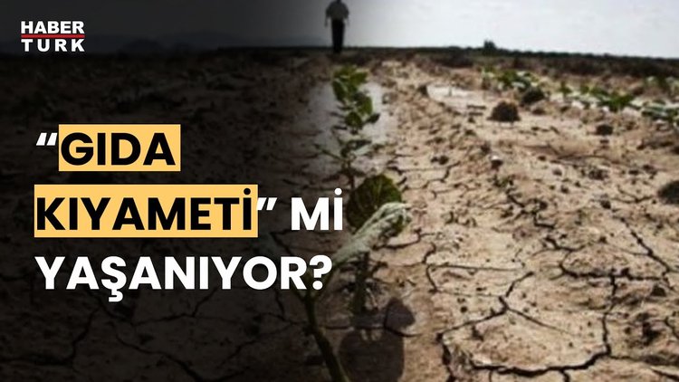 Dünya Gıda Krizine mi sürükleniyor? Dr. Ramazan Kurtoğlu yanıtladı