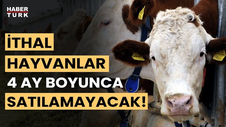 Hayvan ithalatını artık yalnızca devlet yapacak! İrfan Donat yanıtladı