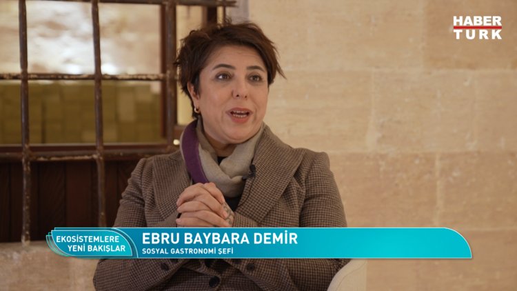 Ekosistemlere Yeni Bakışlar - 1 Şubat 2024 (Dinlerin, dillerin ve kültürlerin buluştuğu Mardin)