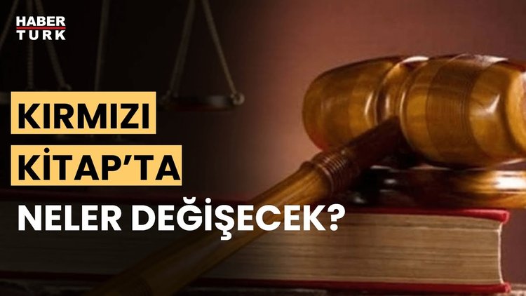 "Kırmızı Kitap'ın önemi ne? Aykut Türel aktardı