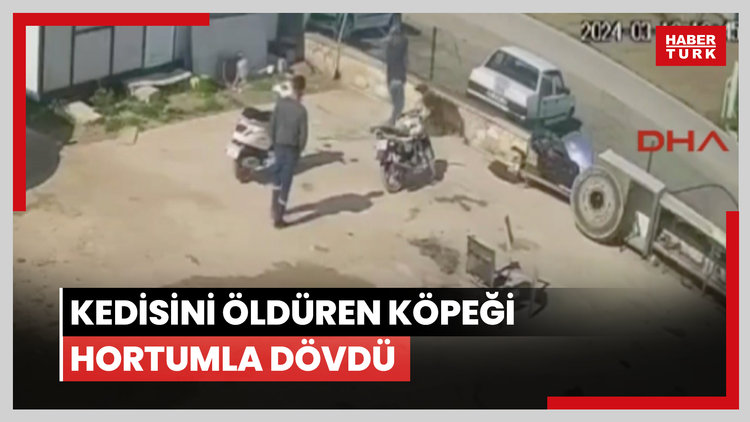 Kedisini öldüren köpeği hortumla dövdü