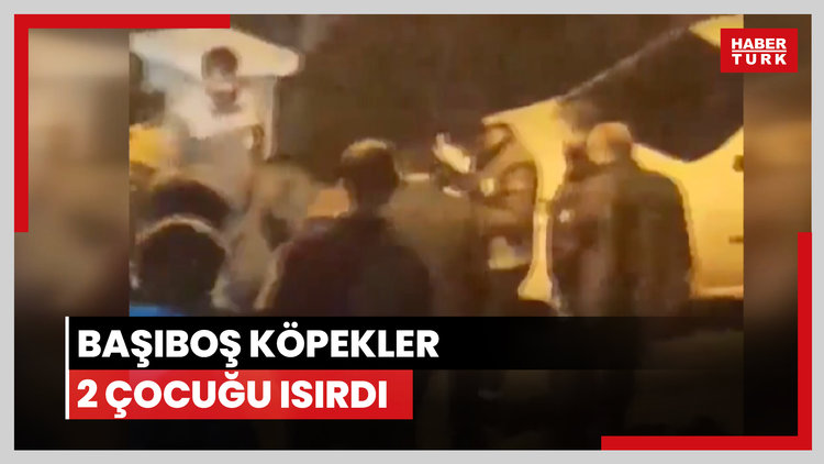 Pitbull iki çocuğu yaraladı