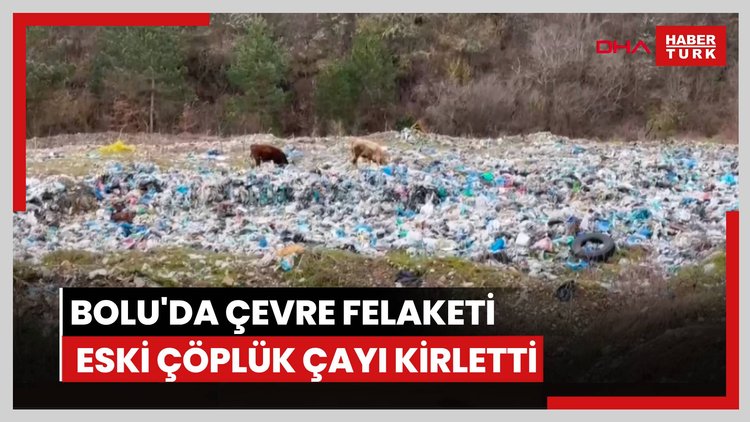 Bolu'da çevre felaketi: Eski çöplük çayı kirletti