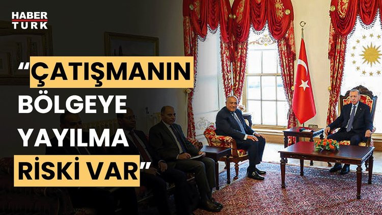 Cumhurbaşkanı Erdoğan, Mısır Dışişleri Bakanı Şukri&#039;yi kabul etti