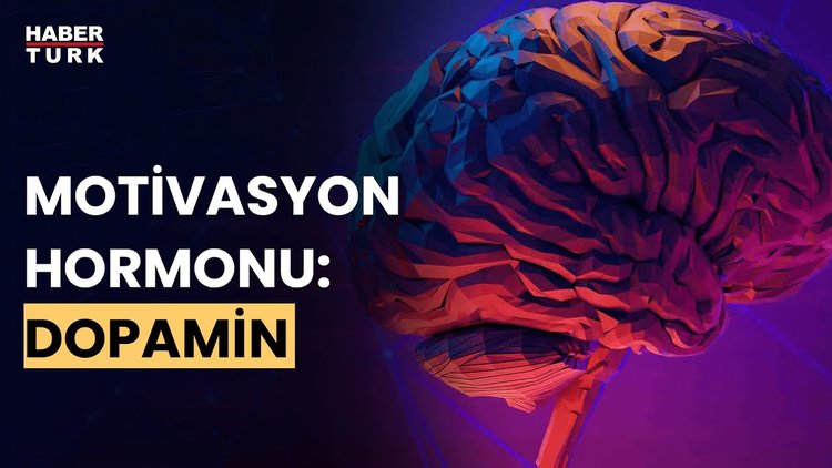Dopamin hormonu ne işe yarar? Prof. Dr. Derya Uludüz anlattı