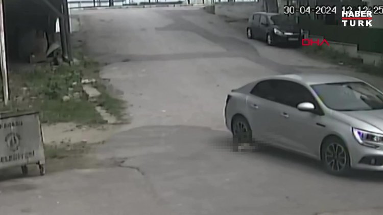 Köpeği ezdi, yoluna devam etti