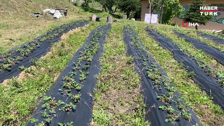 Bedensel engelli dansçının hedefi şampiyonluk