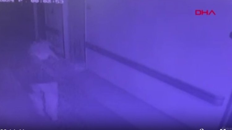 Son görüntü kamerada