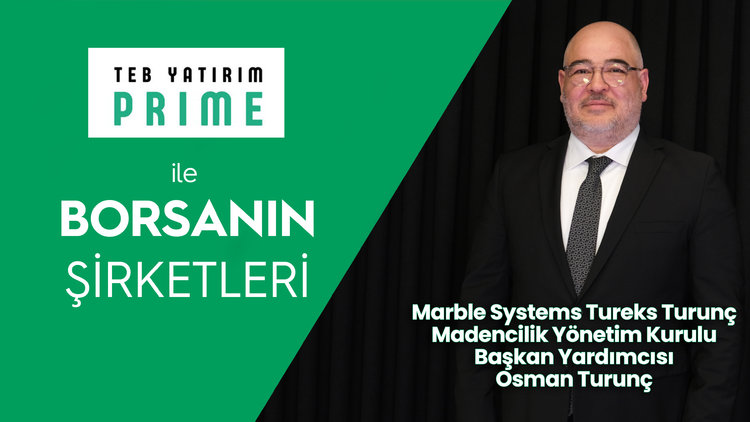 Halka arz şirketi nasıl geliştirdi?