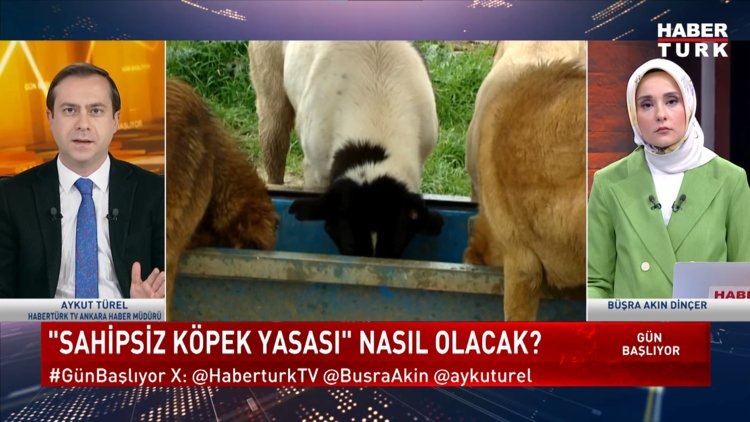 Gün Başlıyor - 24 Mayıs 2024 (Sahipsiz köpek yasası nasıl olacak?)