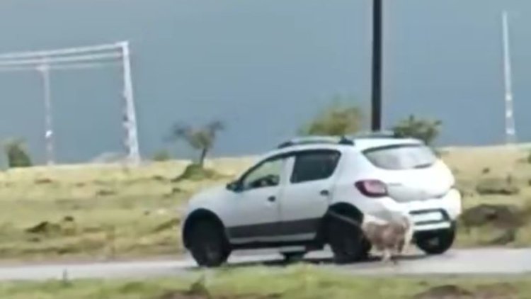 Köpeği otomobile iple bağlayıp böyle sürükledi
