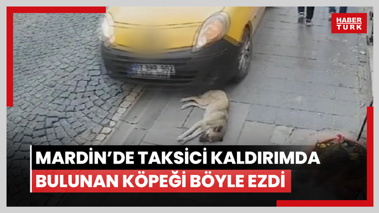 Mardin'de taksici kaldırımda bulunan köpeği böyle ezdi