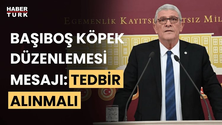 İYİ Parti lideri Dervişoğlu'ndan başıboş sokak köpekleri açıklaması