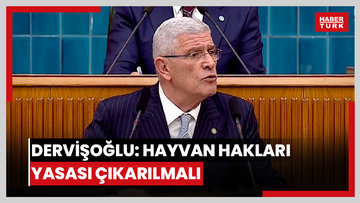 İYİ Parti lideri Dervişoğlu: Hayvan hakları yasası çıkarılmalı