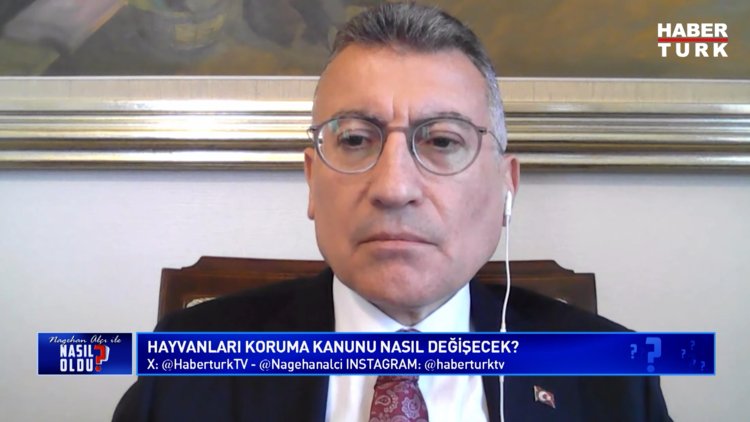 Nagehan Alçı ile Nasıl Oldu? - 30 Mayıs 2024 (Saldırgan köpek vakaları neden arttı?)