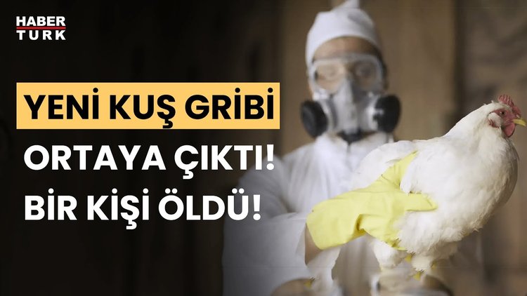 DSÖ&#039;den korkutan açıklama! Yeni kuş gribi salgını mı geliyor?