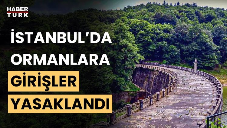 İstanbul Valiliği&#039;nden ormanlık alanlara girişlere kısıtlama! Ormana girişler neden yasaklandı?