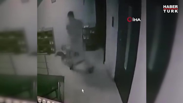 Kediye apartmanda sopayla saldırdı anı kamerada