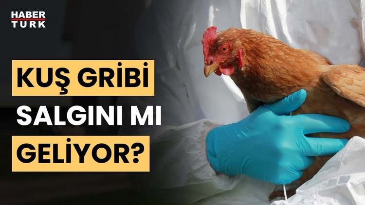 Yeni bir pandemi kapıda mı? Serhat Ünal yanıtladı