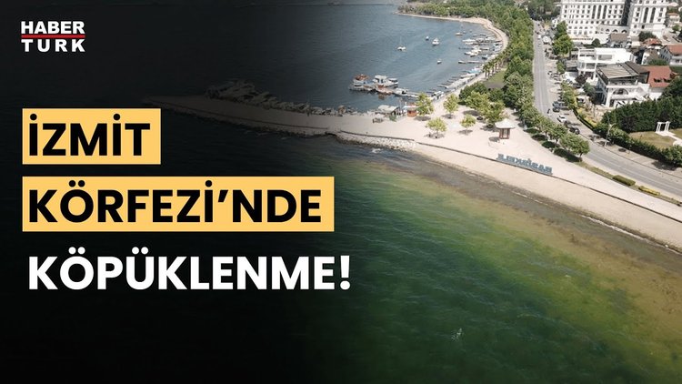 Marmara&#039;ya müsilaj geri mi döndü?