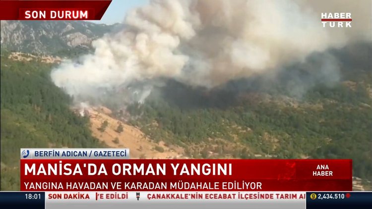Manisa'da orman yangını