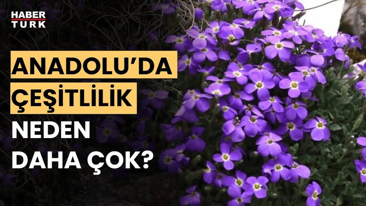 Biyokaçakçılık mı, Biyohırsızlık mı? | Dosya Haber