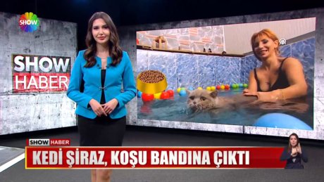 Video poster resmi