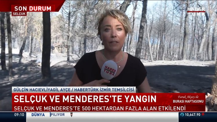 Yangın 500 hektar alanda etkili oldu