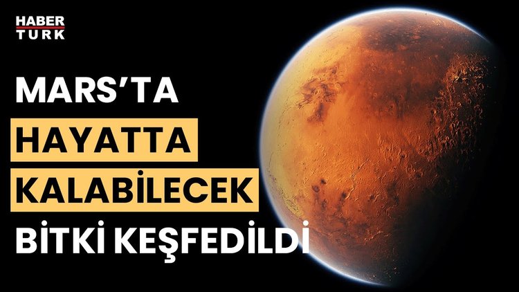 Bilim insanlarından yeni keşif! Mars&#039;ta yaşam mümkün mü?
