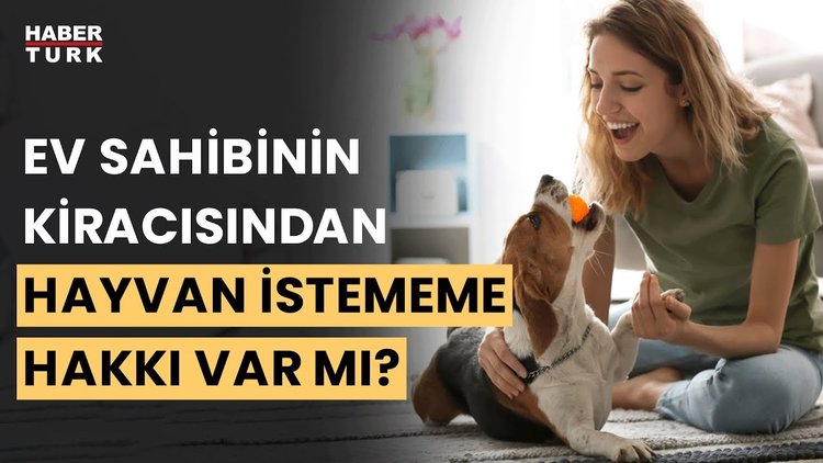 Ev sahibi kiracıdaki hayvana karşı çıkabilir mi?