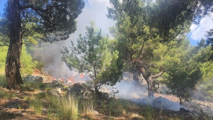 Balıkesir'de iki ilçede orman yangını