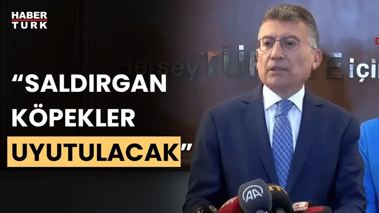 Sokak köpekleri kanun teklifi hazır: Uyutma seçeneği için yeni karar