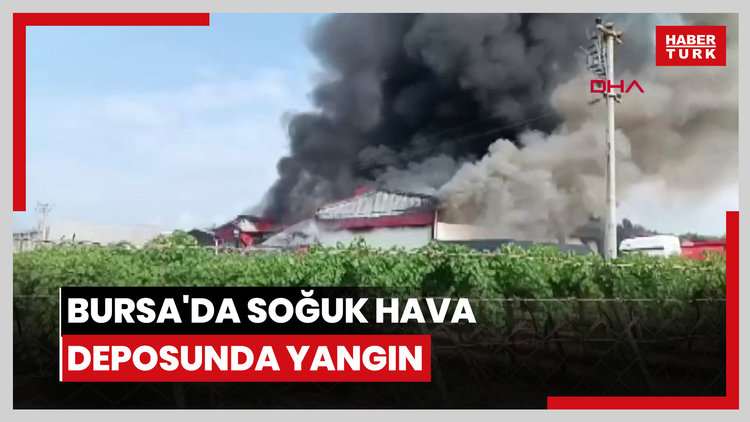 Bursa'da soğuk hava deposunda yangın