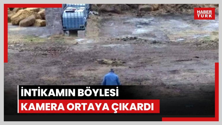 İntikam için 5 atı zehirledi bir eşeği kesti