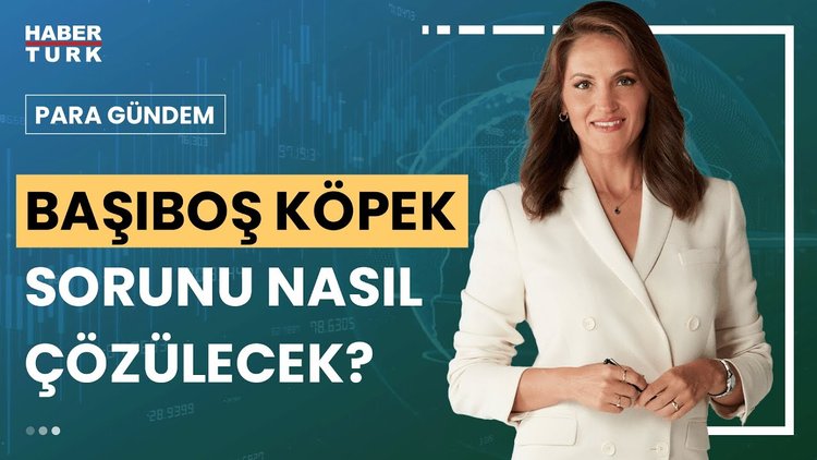 Para Gündem - 18 Temmuz 2024 (Sokak hayvanları için nasıl bir düzenleme olacak?)