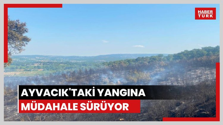 Ayvacık'ta orman yangını
