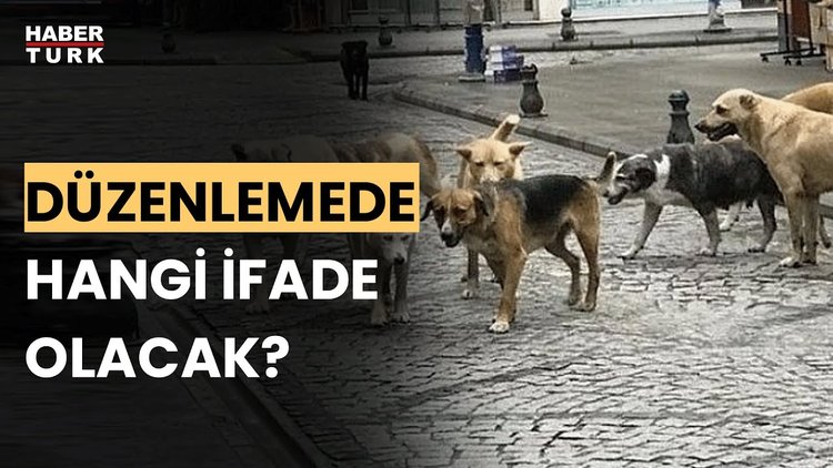 ''Ötanazi'' terimi düzenlemeden çıkıyor. Buse Gençtürk aktardı