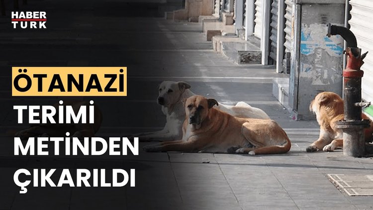 Sokak hayvanları yasa tasarısında hangi değişiklikler yapıldı? Fevzi Çakır anlattı