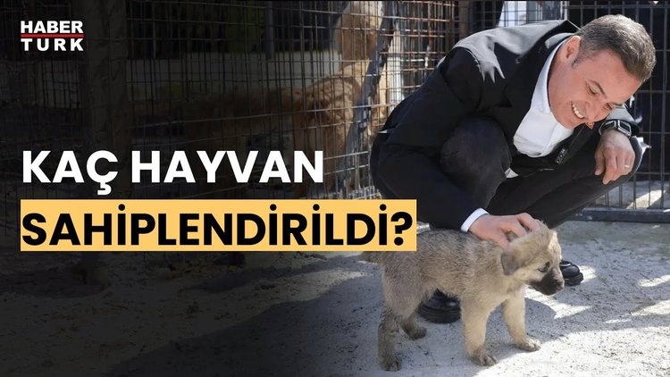 Balıkesir&#039;de sahiplendirme kampanyası. Balıkesir Belediye Başkanı Ahmet Akın anlattı