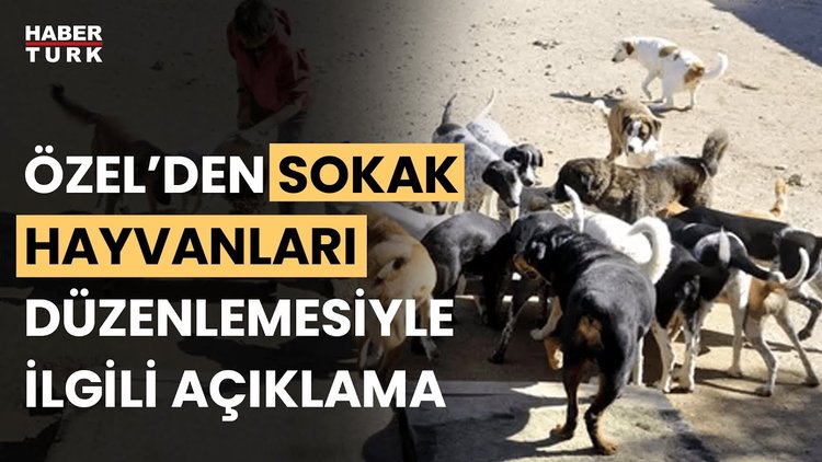 Sahipsiz köpek yasası iptal olur mu?