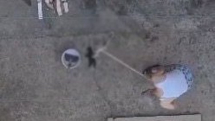 Manisa'da 3 yavru kedi fırça sapıyla öldürüldü! Feci anlar kamerada