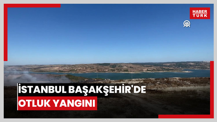 İstanbul Başakşehir'de otluk yangını