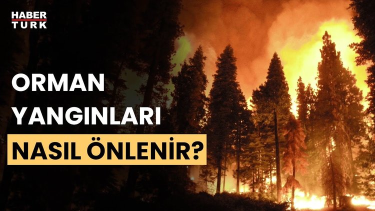 Orman yangınlarının nedenleri neler? Ertuğrul Bilgili yanıtladı
