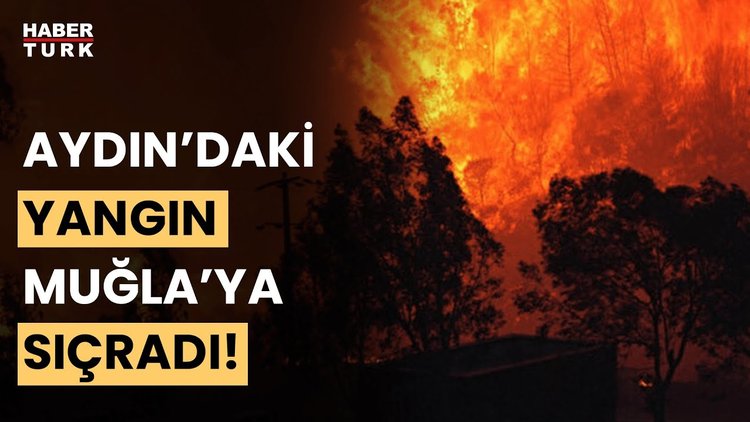 Aydın yangınının çıkış nedeni ne? Yangın devam ediyor mu? Elif Yavuz aktardı