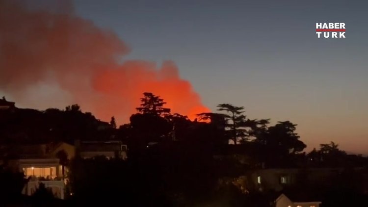 Büyükada'da yangın