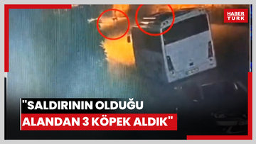 "Saldırının olduğu alandan 3 köpek aldık"